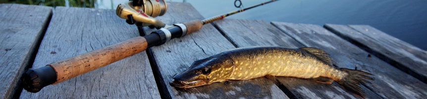 freshwater_fishing_banner